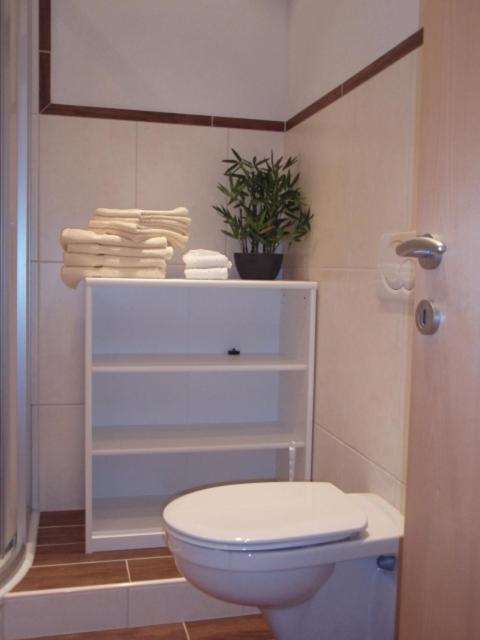 Leirerfeld Apartment Alpbach Ngoại thất bức ảnh